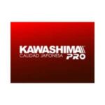 Home 2 beaga-geradores-venda